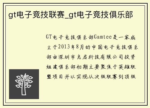 gt电子竞技联赛_gt电子竞技俱乐部
